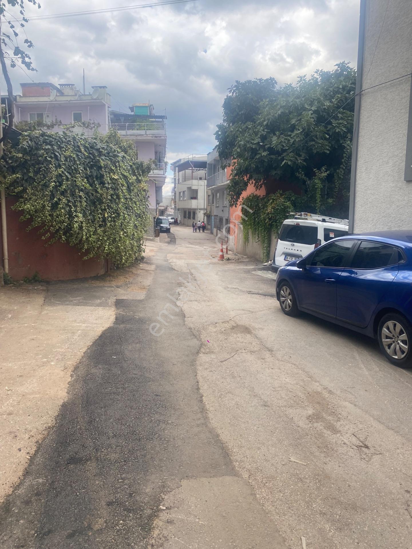 Yeşılyayla Da Üç Katlı Bına Ve Bahçesı — fotoğraf 28