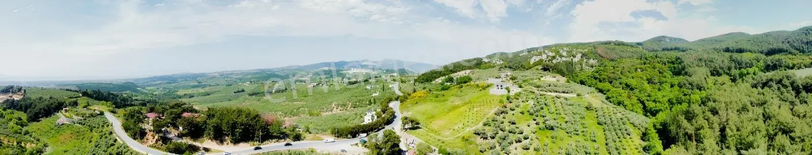 Ana Yola Cepheli 9.772 M² Satılık Zeytinlik Arazi — fotoğraf 5