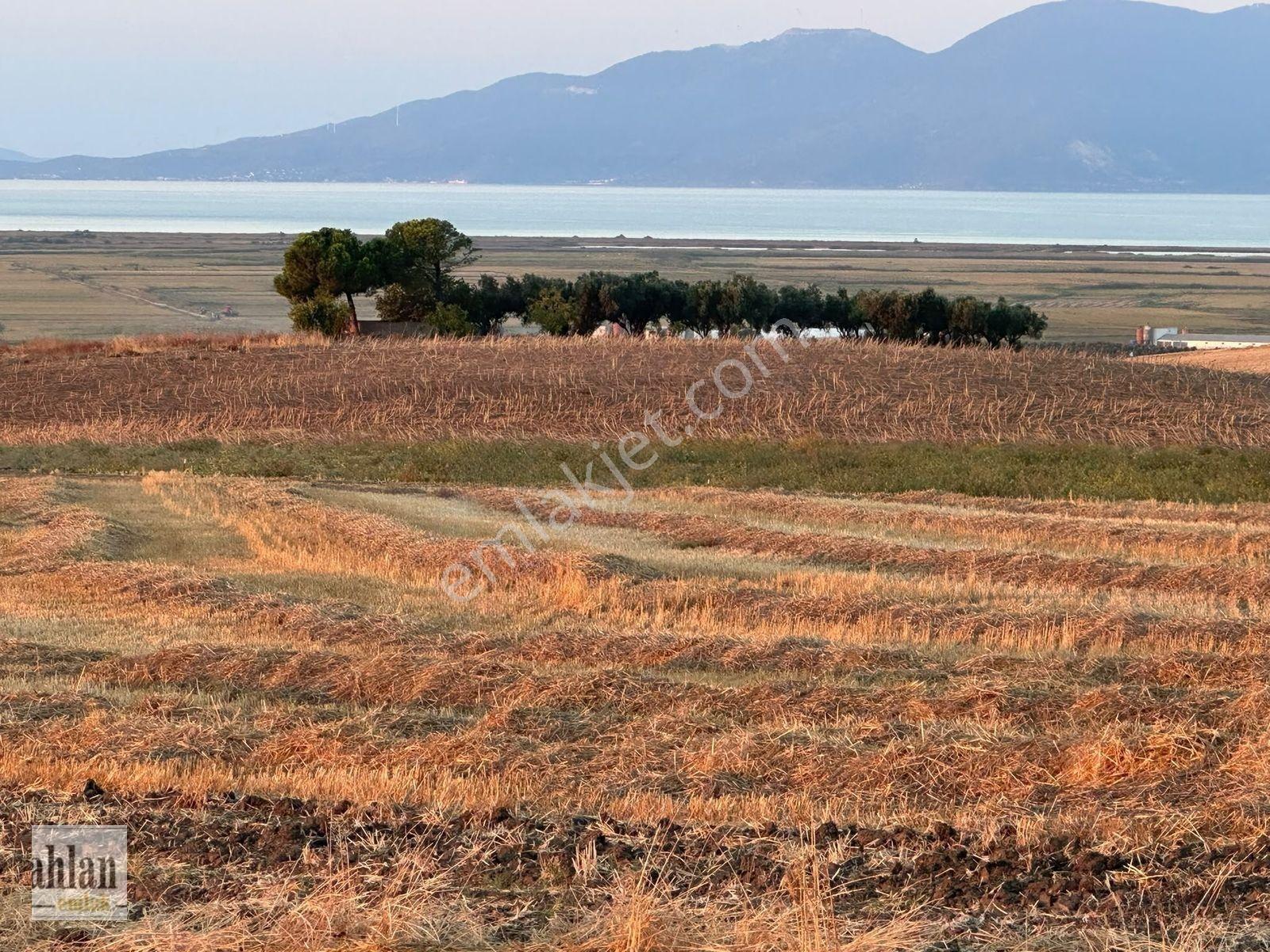 Şahlan Emlaktan Deniz Manzaralı Gebeçınarda Satılık Tarla — fotoğraf 20