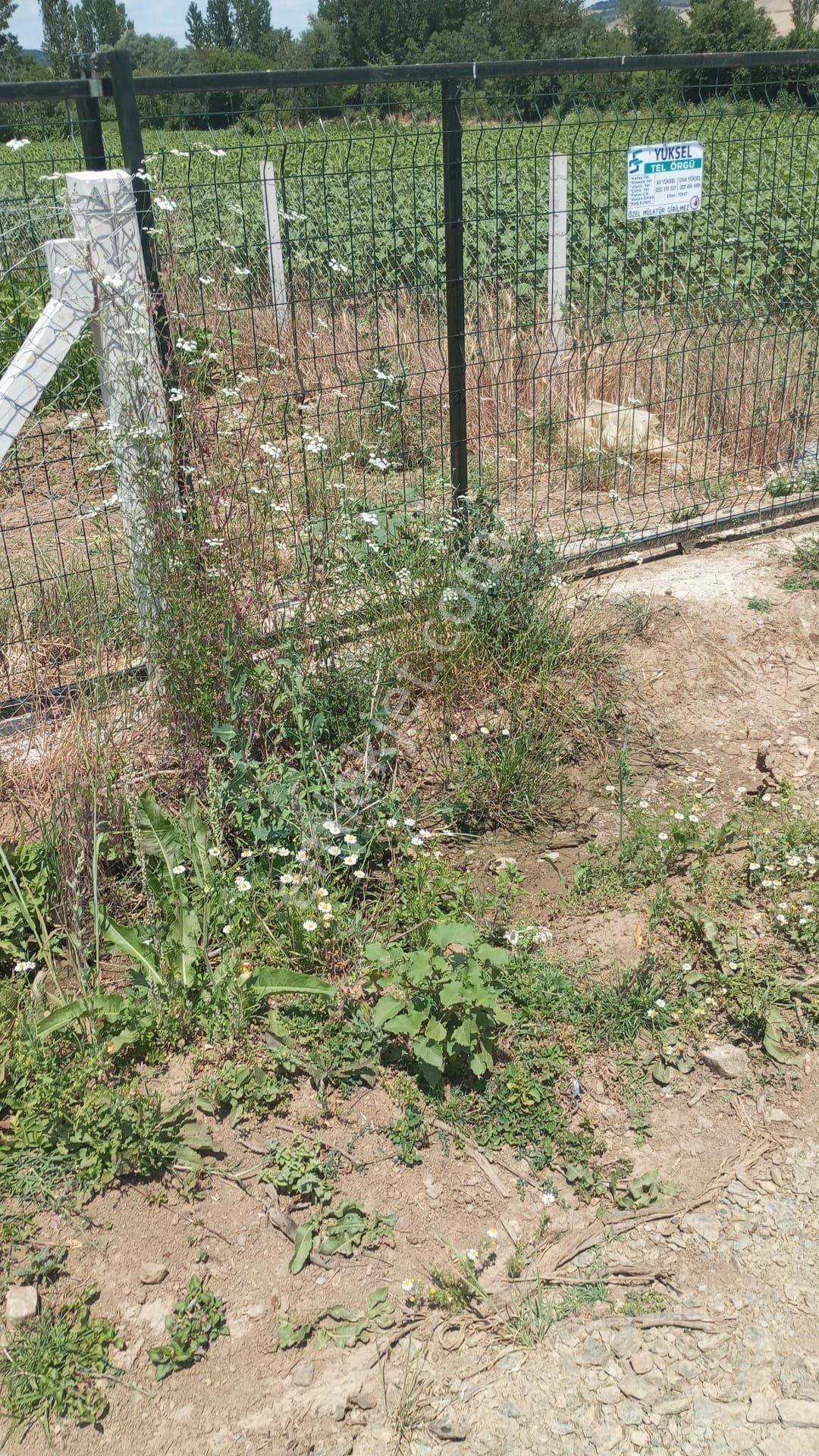 Tokat Erbaa Tanoba Da Satılık 1.925 M2 Tek Tapu Tel Örgü Çevrili Arazi