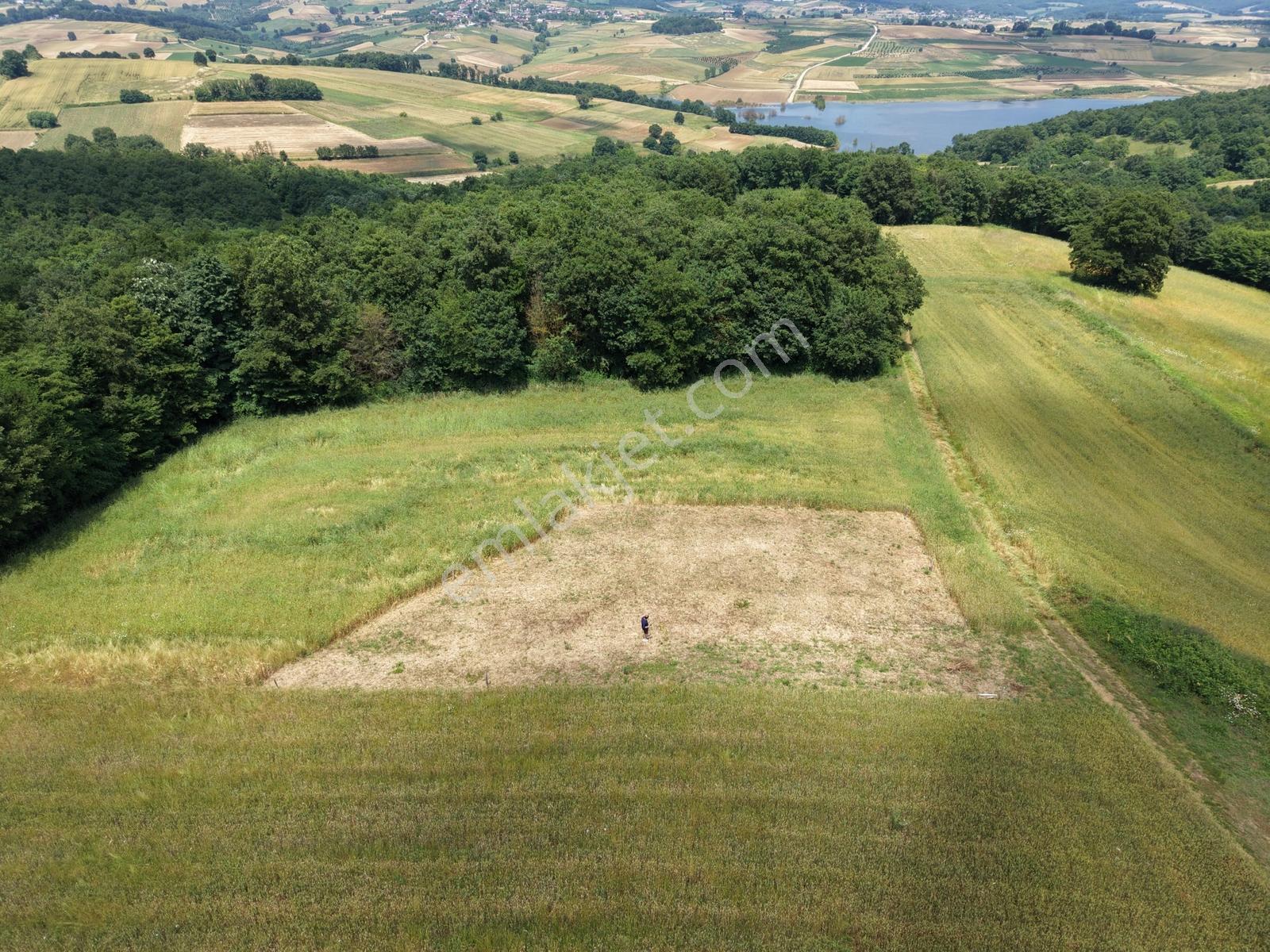 Adapazarı Salmanlıda 608m2 Resmi Yollu Doğa Harikası — fotoğraf 3