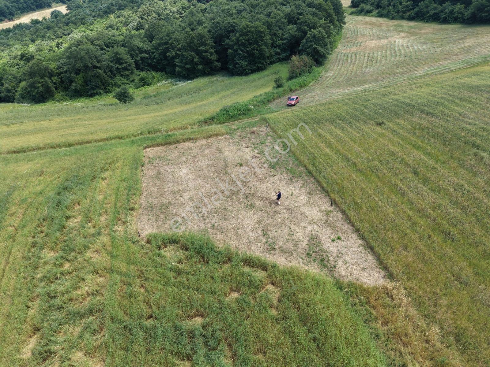 Adapazarı Salmanlıda 608m2 Resmi Yollu Doğa Harikası — fotoğraf 4