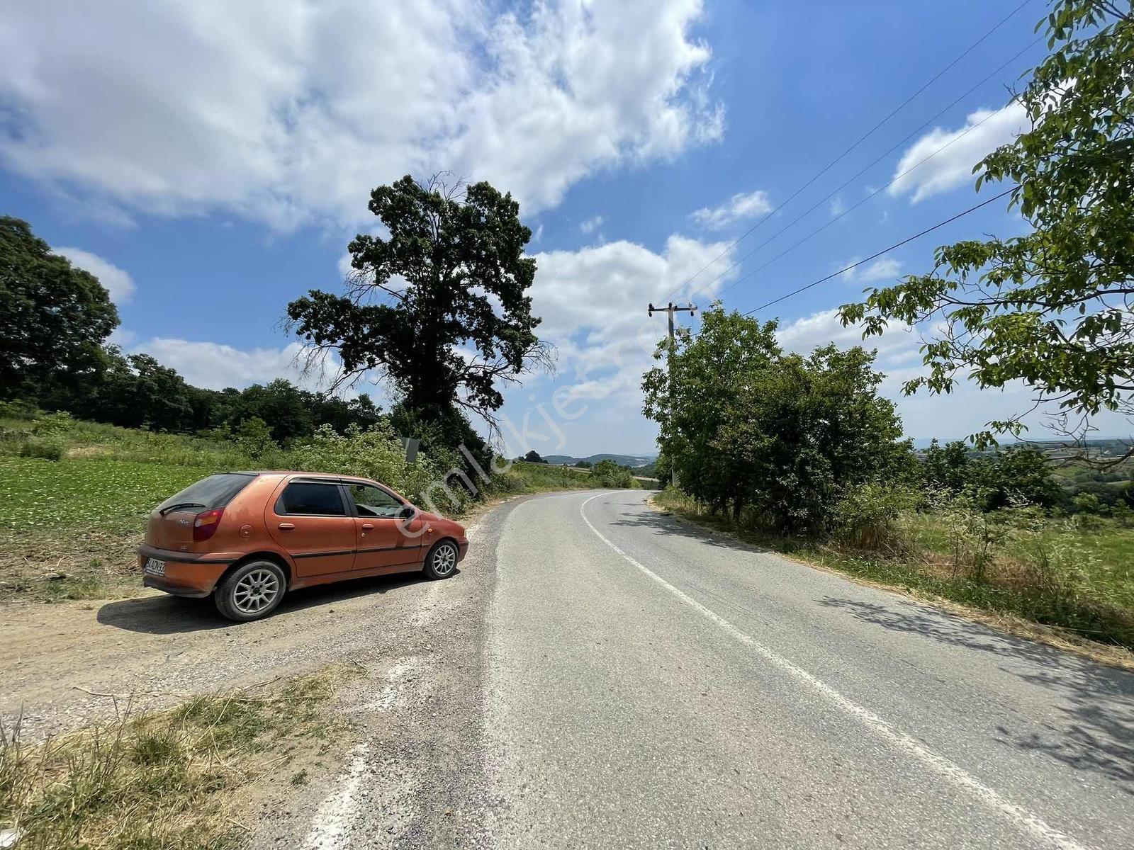 Adapazarı Salmanlıda 608m2 Resmi Yollu Doğa Harikası — fotoğraf 5