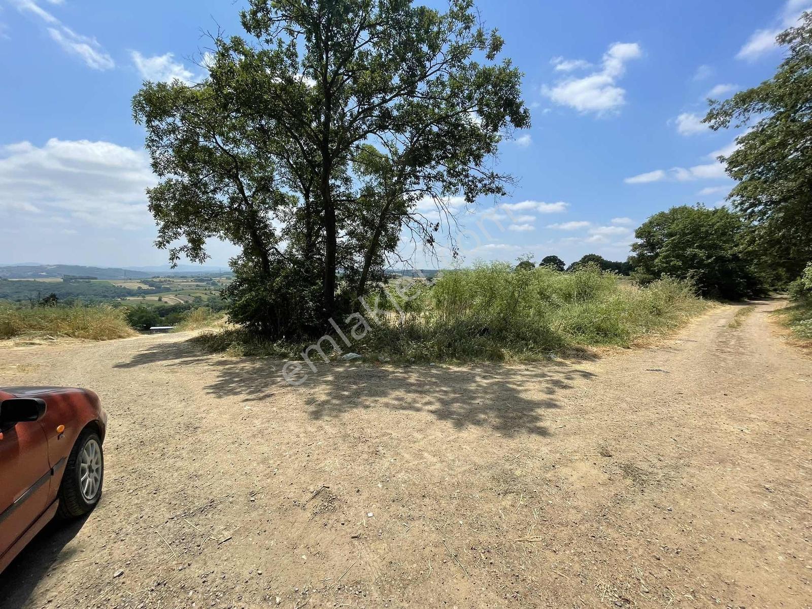 Adapazarı Salmanlıda 608m2 Resmi Yollu Doğa Harikası — fotoğraf 8