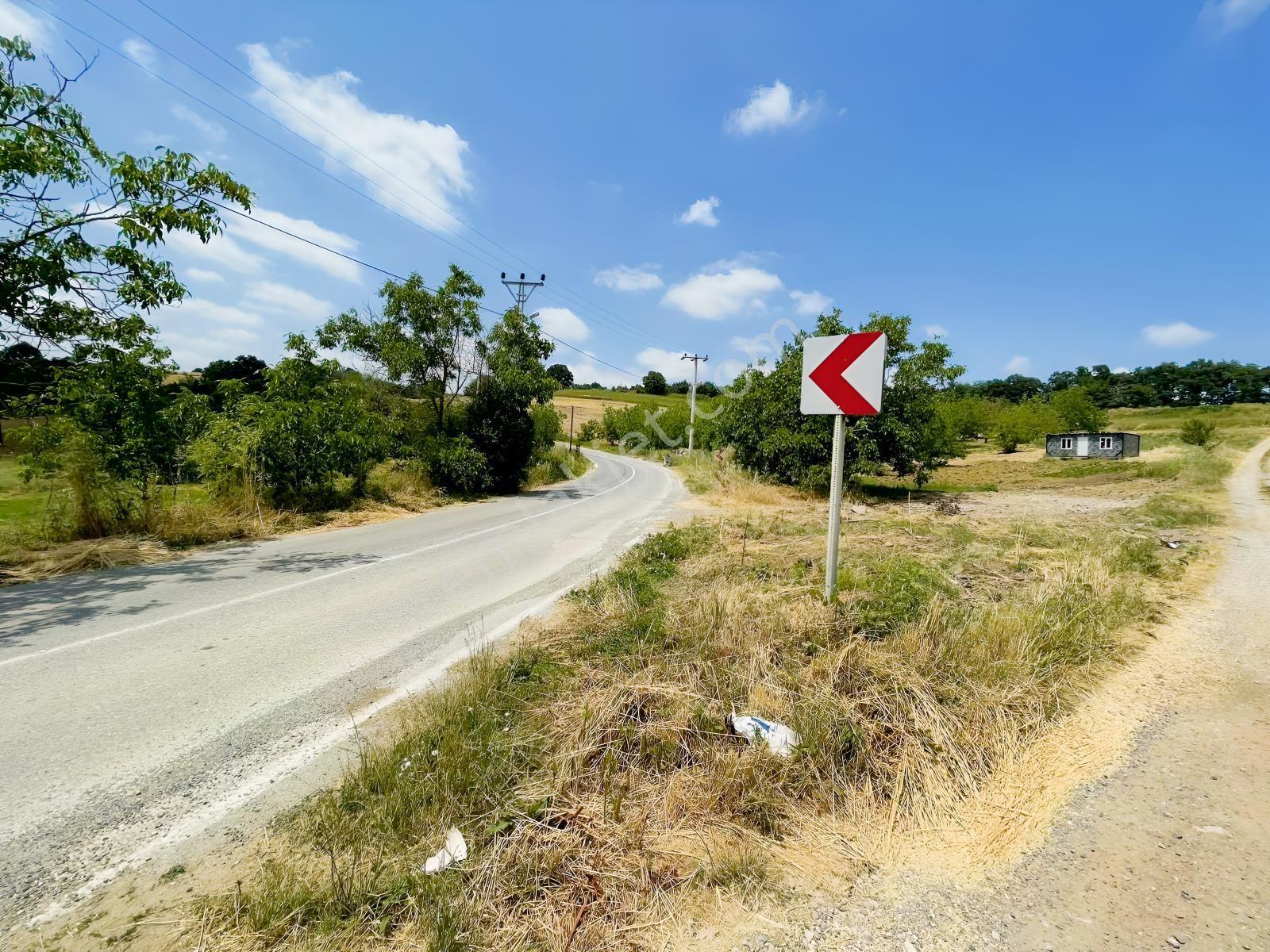 Adapazarı Salmanlıda 608m2 Resmi Yollu Doğa Harikası — fotoğraf 9