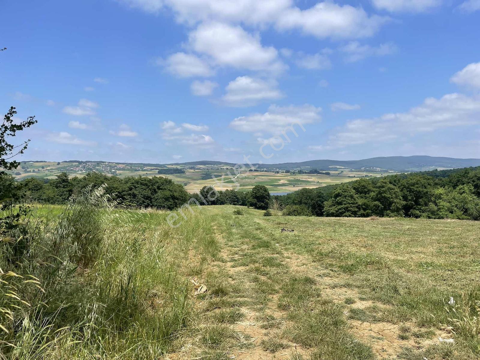 Adapazarı Salmanlıda 608m2 Resmi Yollu Doğa Harikası — fotoğraf 12