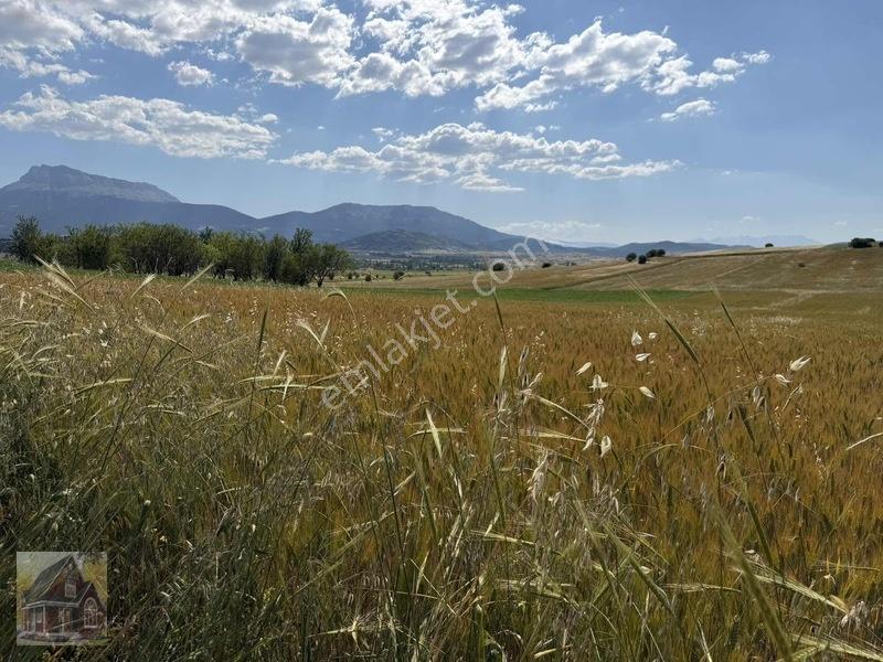 Kavak Mahallesinde Satılık Tarla — fotoğraf 2