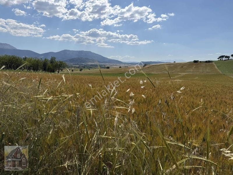 Kavak Mahallesinde Satılık Tarla — fotoğraf 3
