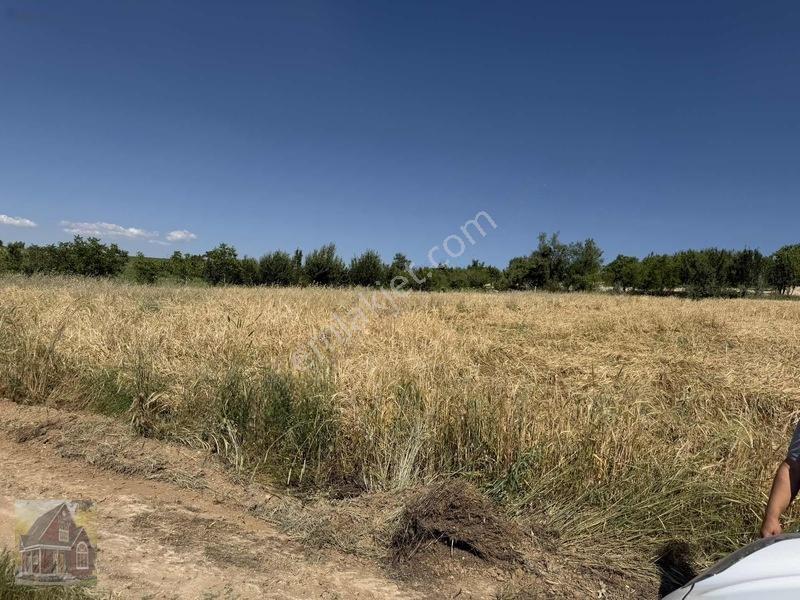 Kavak Mahallesinde Satılık Tarla — fotoğraf 6