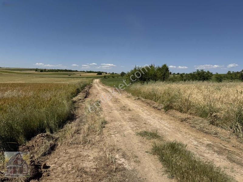 Kavak Mahallesinde Satılık Tarla — fotoğraf 7