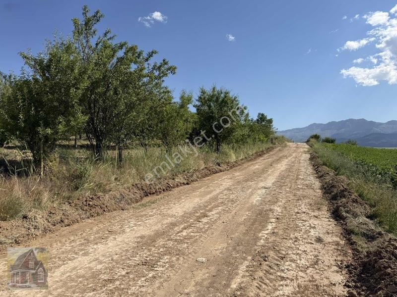 Kavak Mahallesinde Satılık Tarla — fotoğraf 8