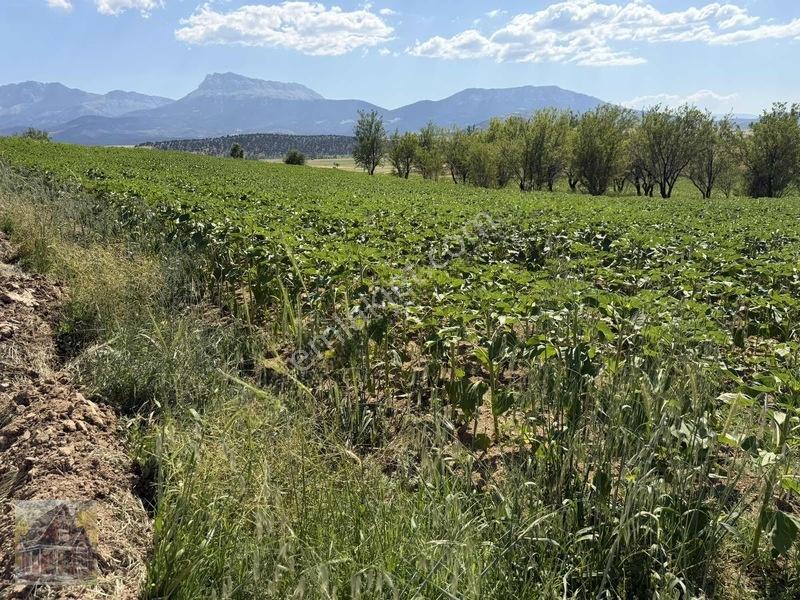 Kavak Mahallesinde Satılık Tarla — fotoğraf 9