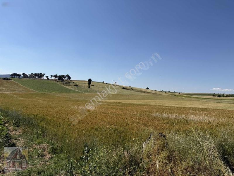 Kavak Mahallesinde Satılık Tarla — fotoğraf 10