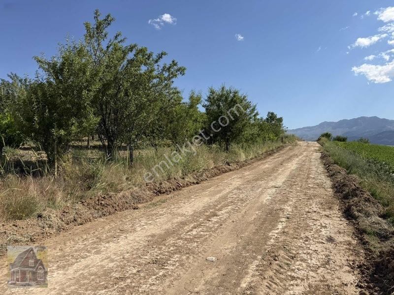 Kavak Mahallesinde Satılık Tarla — fotoğraf 11