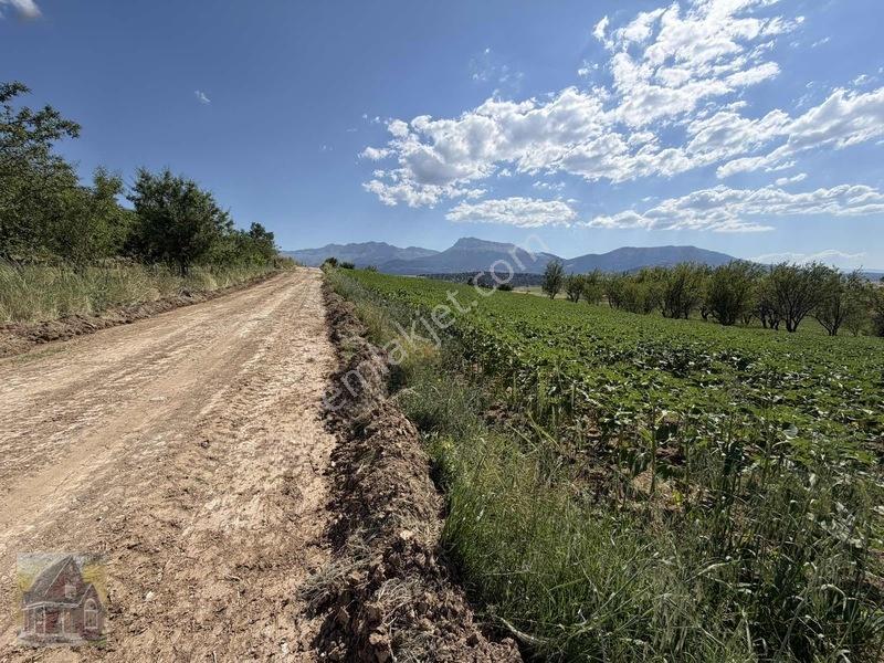 Kavak Mahallesinde Satılık Tarla — fotoğraf 12