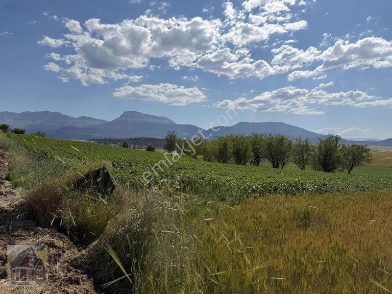 Kavak Mahallesinde Satılık Tarla — fotoğraf 16