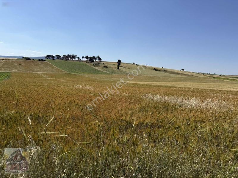 Kavak Mahallesinde Satılık Tarla — fotoğraf 20