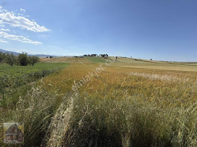 Kavak Mahallesinde Satılık Tarla — fotoğraf 21