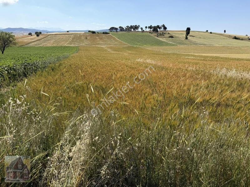 Kavak Mahallesinde Satılık Tarla — fotoğraf 22