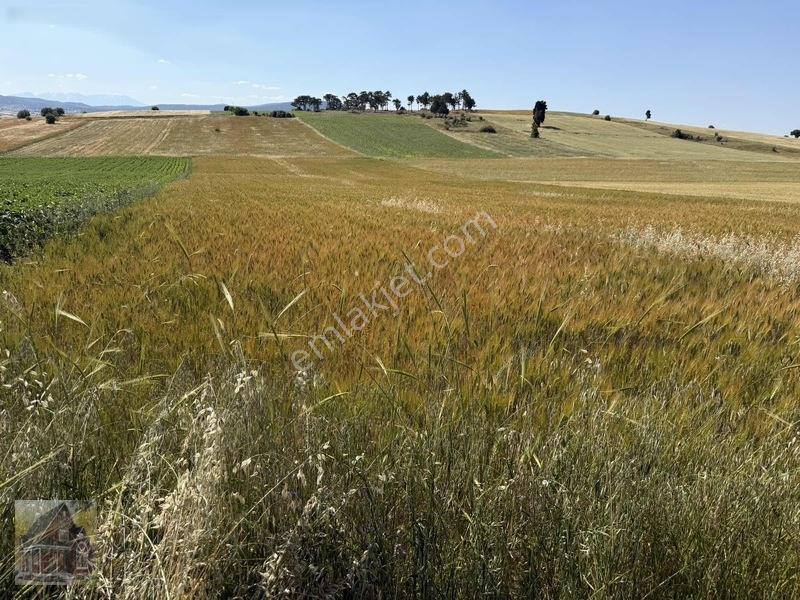 Kavak Mahallesinde Satılık Tarla — fotoğraf 23