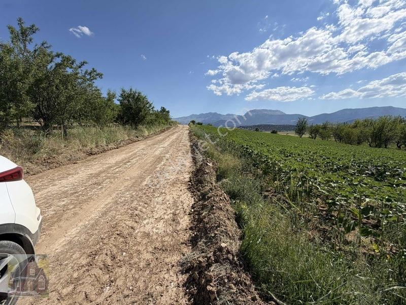 Kavak Mahallesinde Satılık Tarla — fotoğraf 26