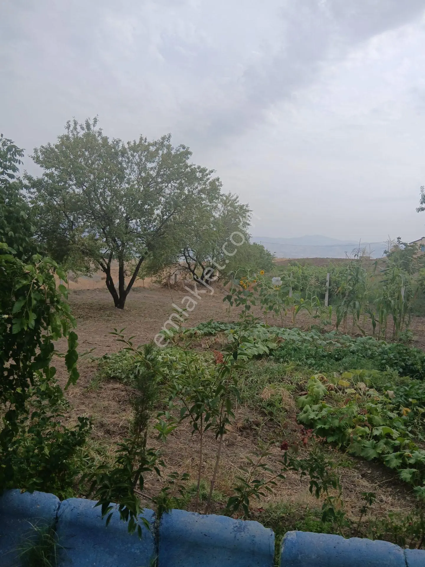Elazığ Sedeftepe'de Satılık 5600 M² Meyve Bahçeli Bağ Evi — fotoğraf 3