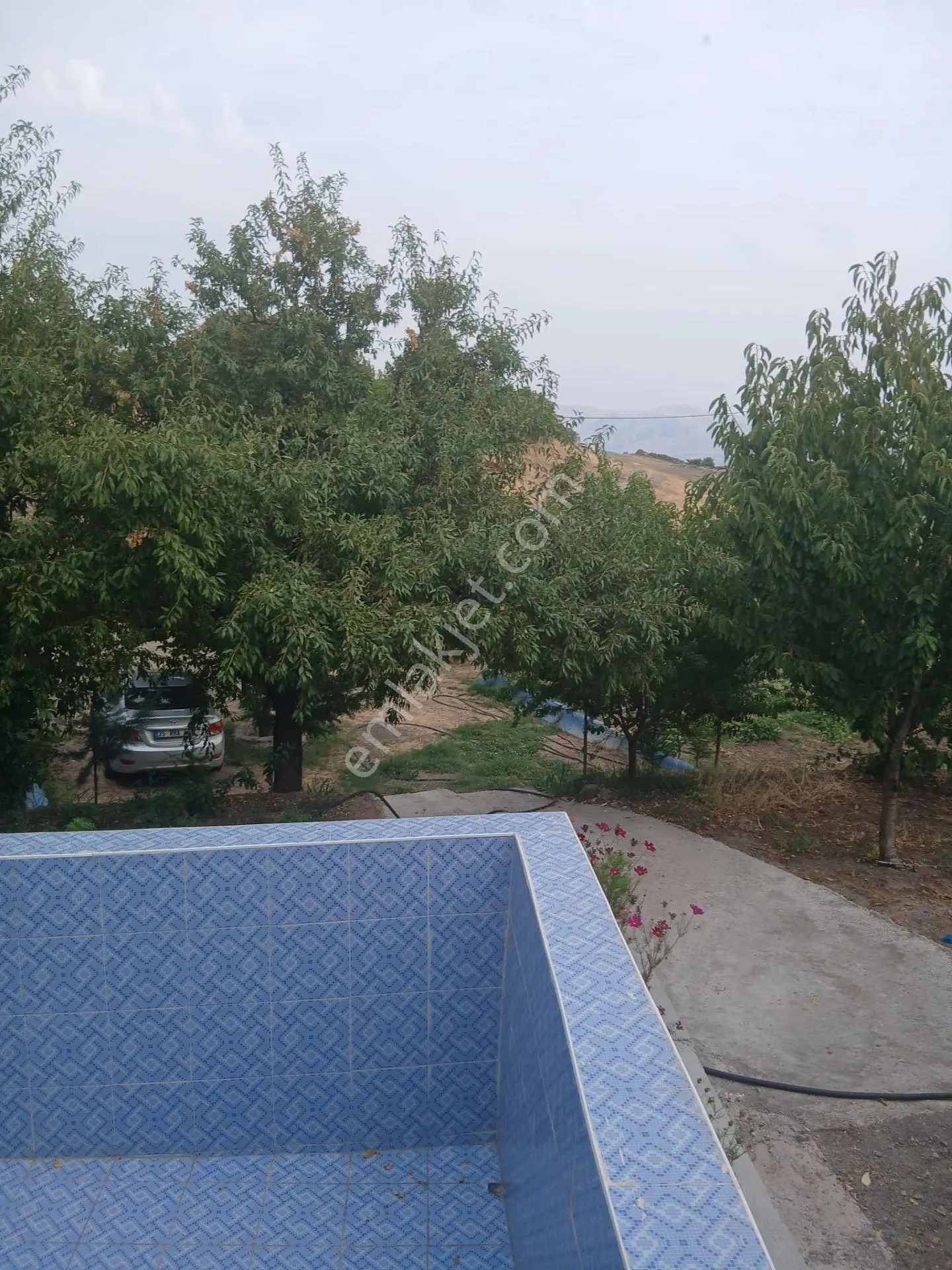 Elazığ Sedeftepe'de Satılık 5600 M² Meyve Bahçeli Bağ Evi — fotoğraf 10