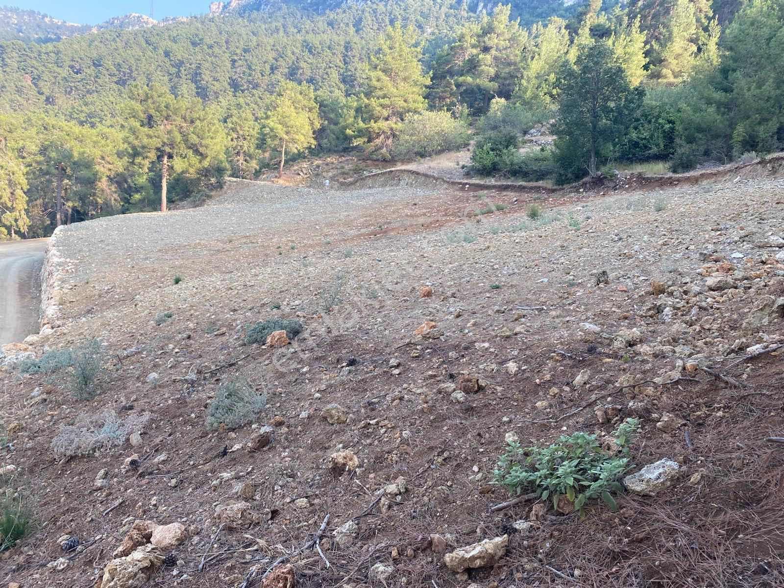 Yenişehir Çukurkeşlik Mh Manzaralı Orman İçi 3.052 M2 Arazi — fotoğraf 2
