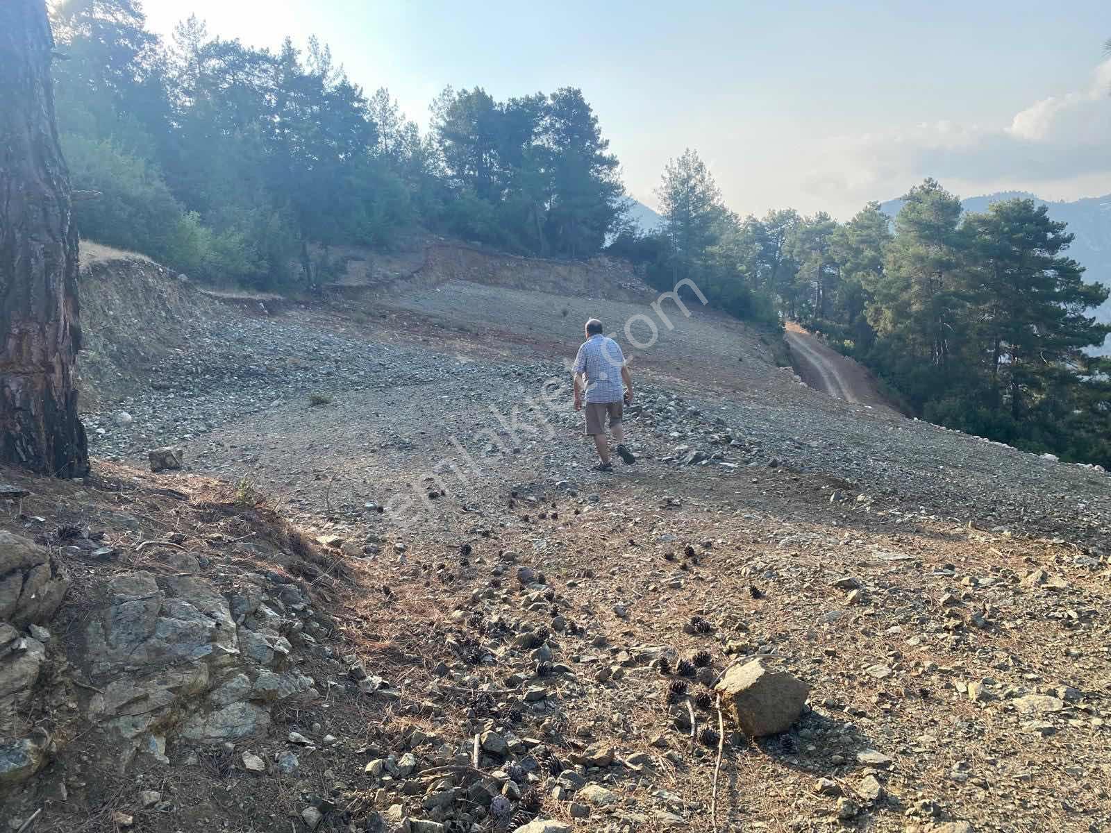 Yenişehir Çukurkeşlik Mh Manzaralı Orman İçi 3.052 M2 Arazi — fotoğraf 3