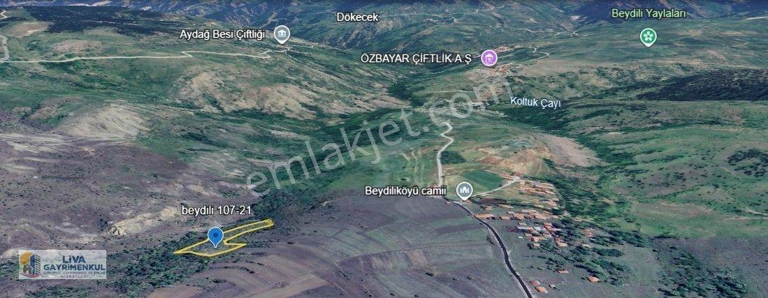 Karabük Ovacık Beydili Köyünde Satılık Tarla,
