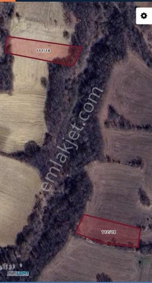 Fıranlar Da Tarla — fotoğraf 6
