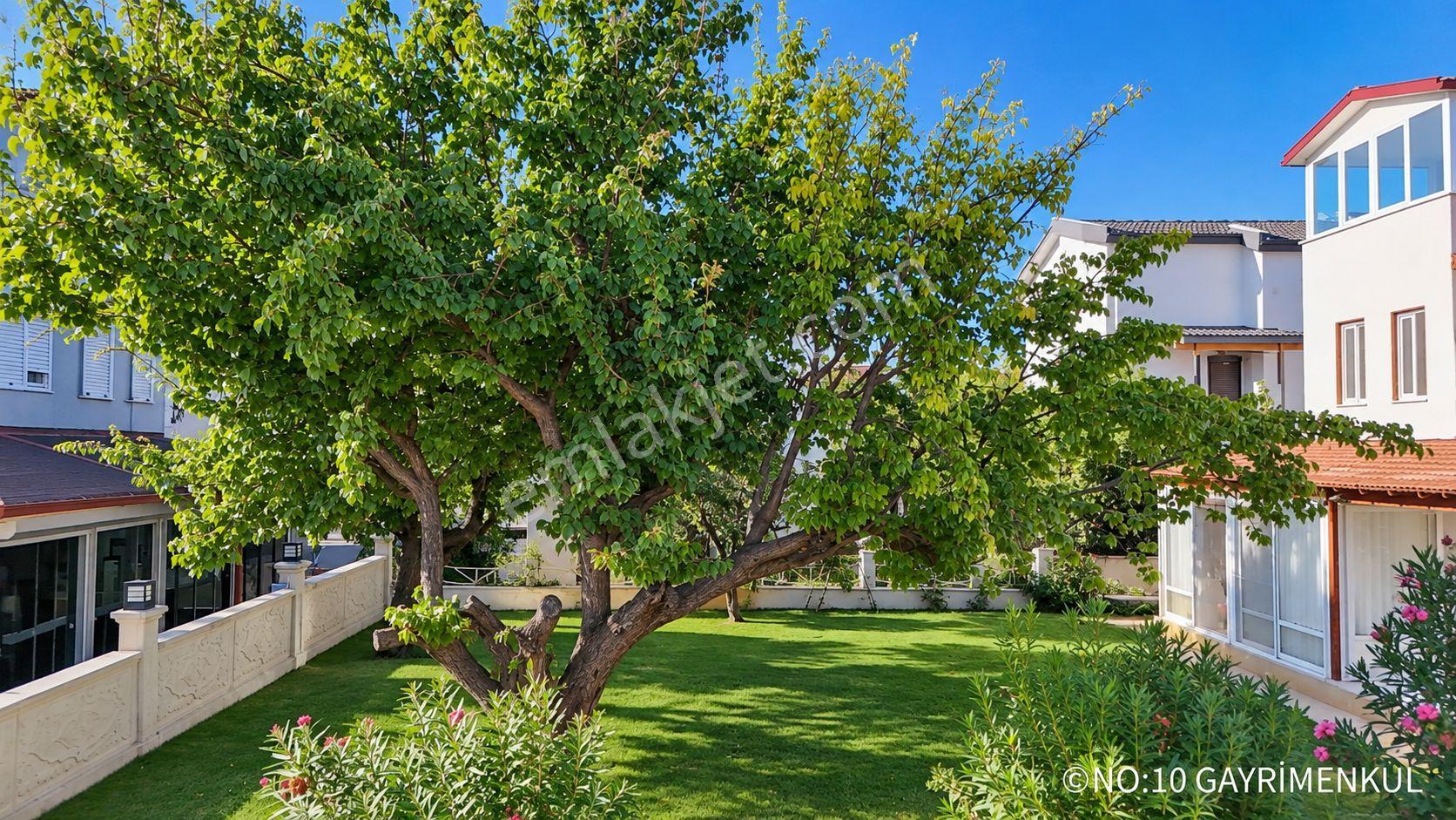 No:10 Gayrimenkul'den Yorgun 2’de Tam Müstakil, 546 M² Arsalı,ayrı Tapulu, Şömineli 5+1 Fırsat Villa — fotoğraf 2