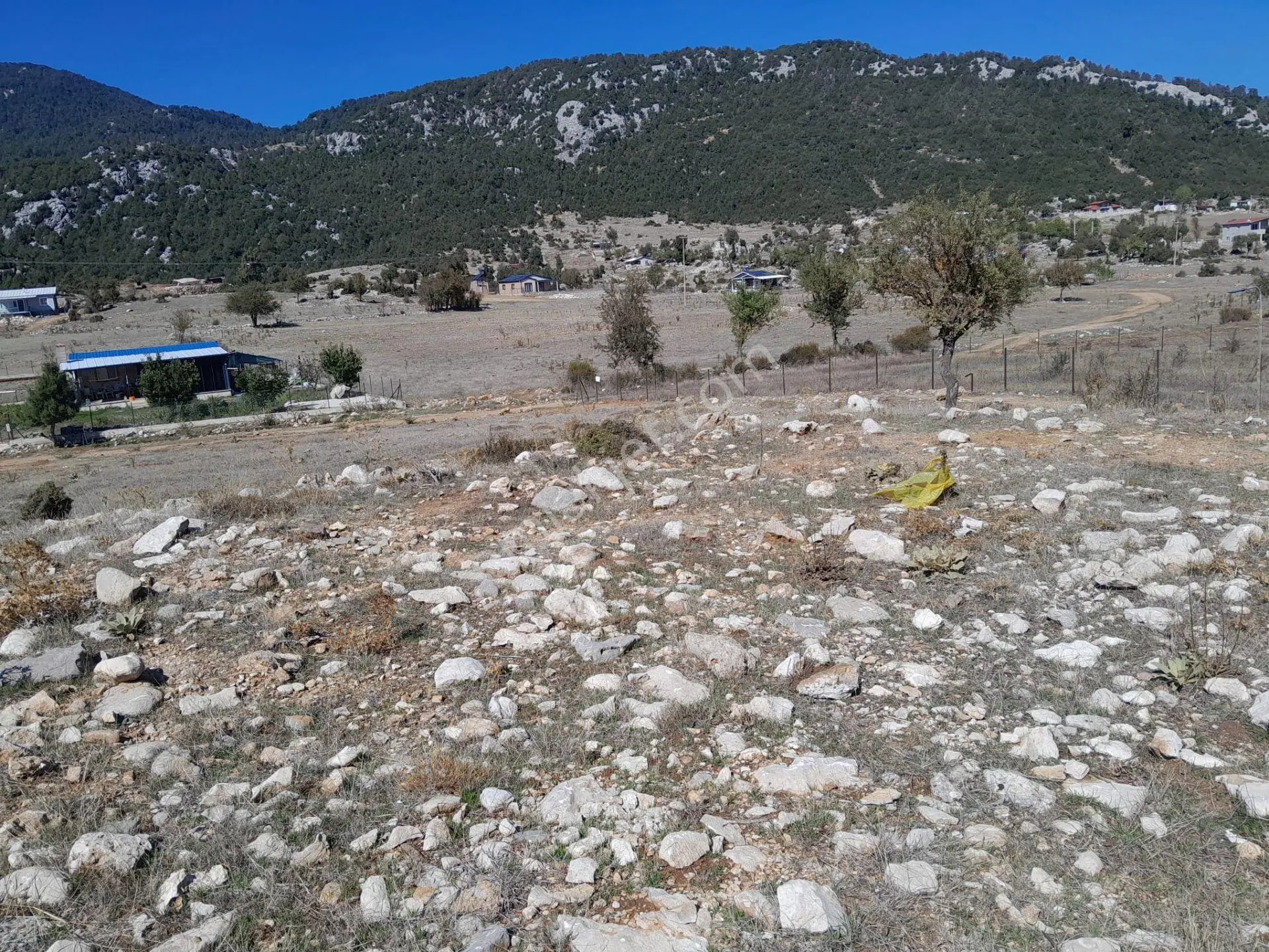 Seydikemer Yayla Ceylan'da Doğa Manzaralı 1550 M² Satılık Tarla — fotoğraf 3