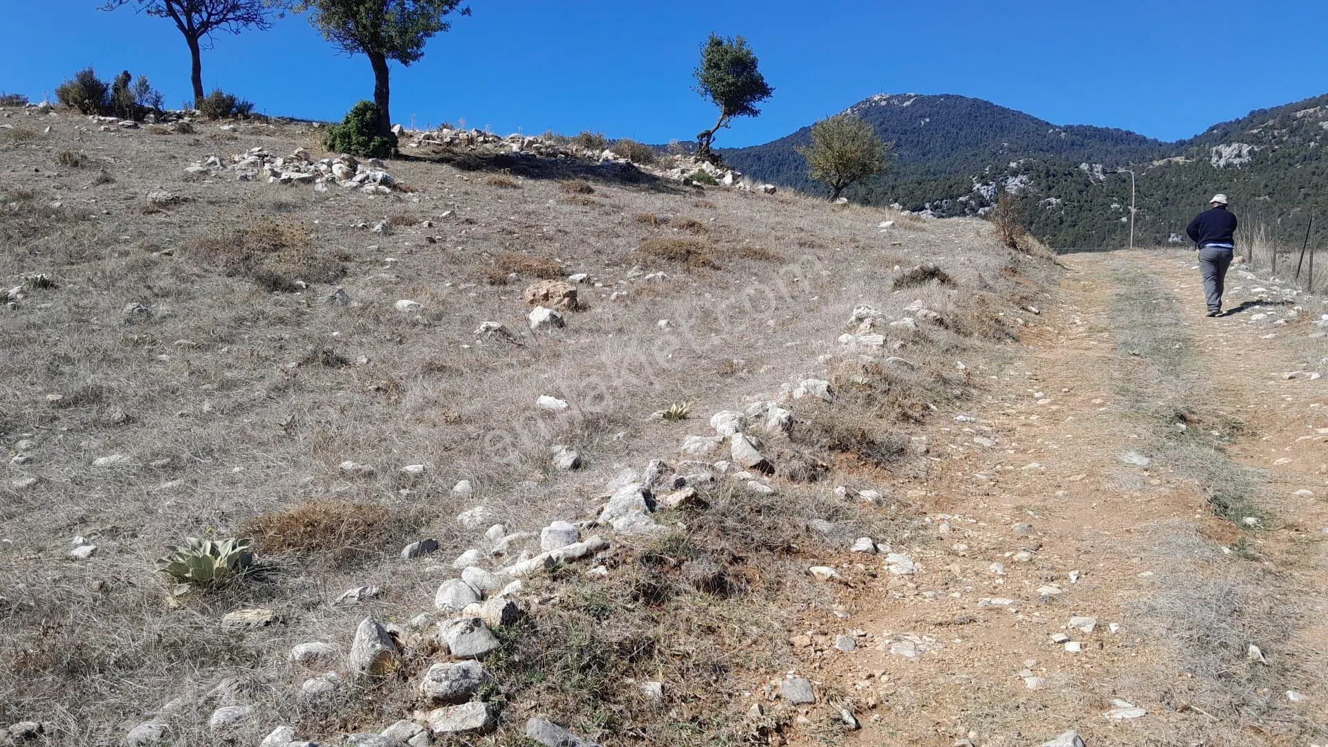 Seydikemer Yayla Ceylan'da Doğa Manzaralı 1550 M² Satılık Tarla — fotoğraf 11