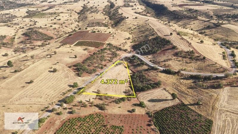 Yeka Bölgesinde 4.372 M² Asfalt Yola Sıfır Müstakil Tapulu Tarla — fotoğraf 2
