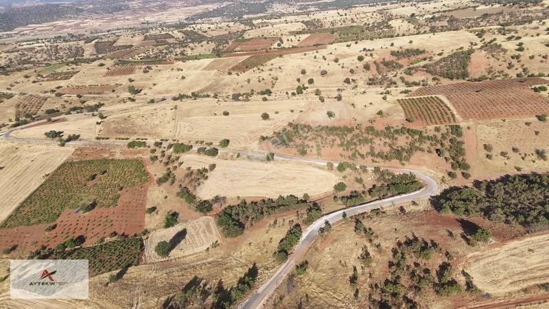 Yeka Bölgesinde 4.372 M² Asfalt Yola Sıfır Müstakil Tapulu Tarla — fotoğraf 5