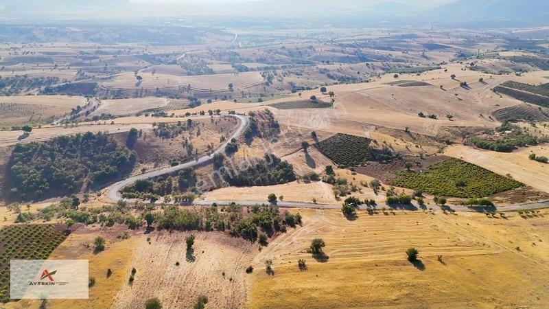 Yeka Bölgesinde 4.372 M² Asfalt Yola Sıfır Müstakil Tapulu Tarla — fotoğraf 10