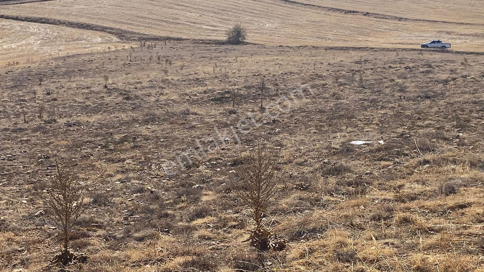 Sarayönü Kurşunlu Mahallesinde Uygun Fiyata Müstakil Tapulu — fotoğraf 6