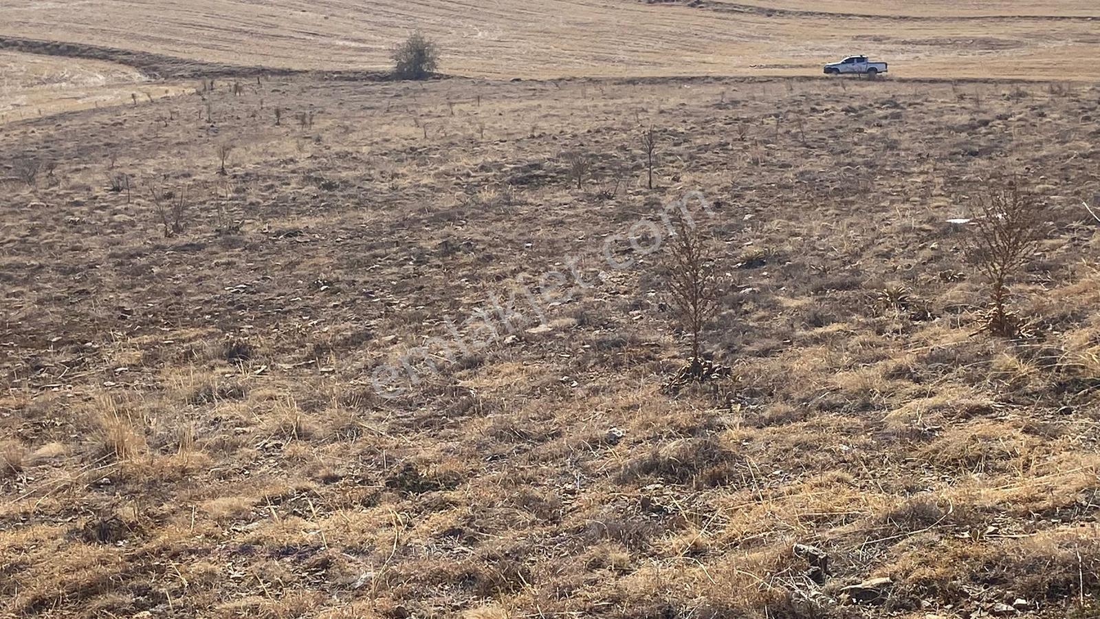 Sarayönü Kurşunlu Mahallesinde Uygun Fiyata Müstakil Tapulu — fotoğraf 11