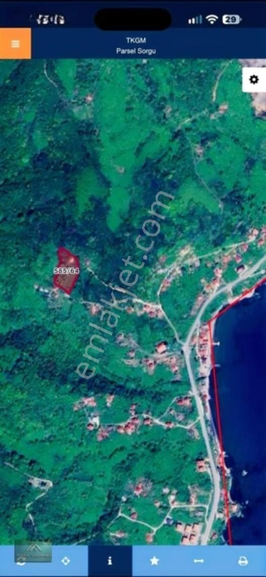 *Perşembenin Gözde Bölgesinde 5.712 M² | Deniz Manzaralı Arsa