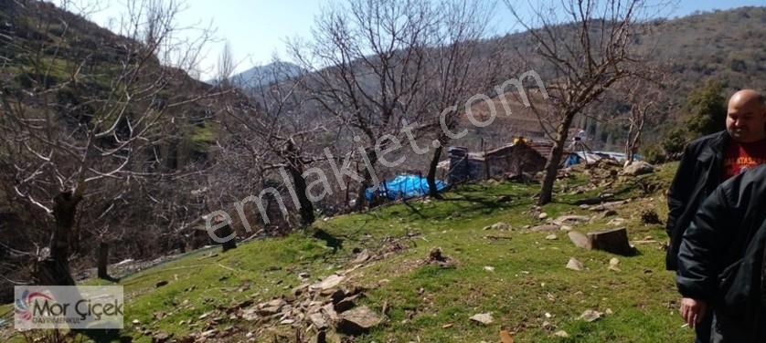 Mor Çiçek Emlak Tire Yamandere Satılık Kargir Ev Ve 2adet Dam — fotoğraf 2