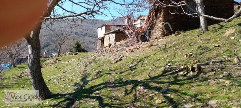 Mor Çiçek Emlak Tire Yamandere Satılık Kargir Ev Ve 2adet Dam — fotoğraf 4
