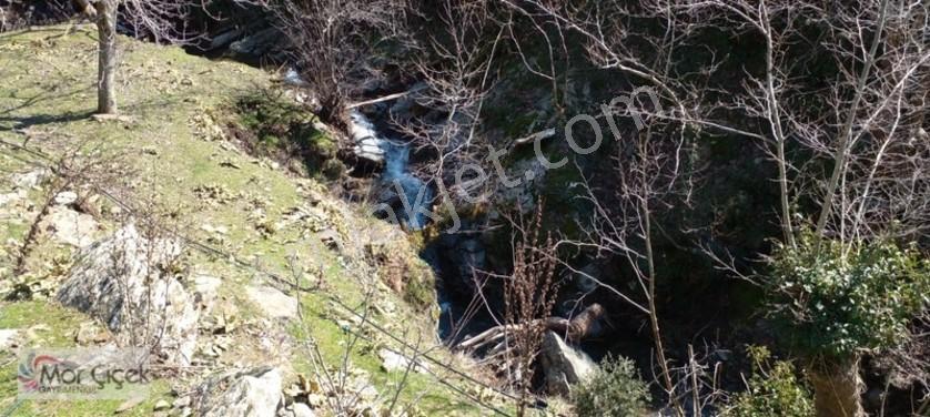 Mor Çiçek Emlak Tire Yamandere Satılık Kargir Ev Ve 2adet Dam — fotoğraf 5