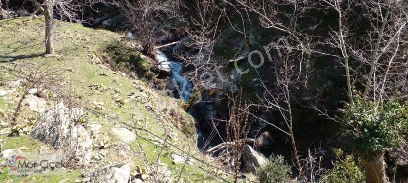 Mor Çiçek Emlak Tire Yamandere Satılık Kargir Ev Ve 2adet Dam — fotoğraf 6