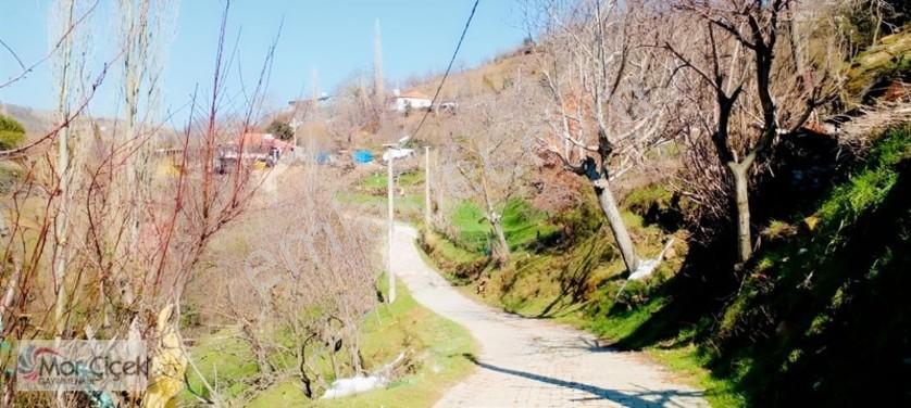 Mor Çiçek Emlak Tire Yamandere Satılık Kargir Ev Ve 2adet Dam — fotoğraf 7