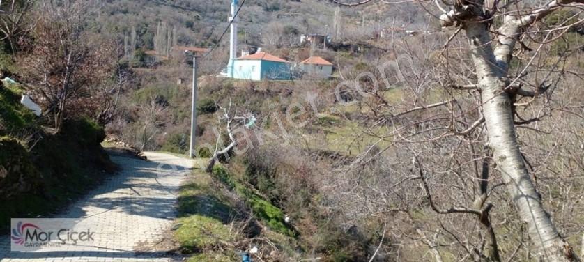 Mor Çiçek Emlak Tire Yamandere Satılık Kargir Ev Ve 2adet Dam — fotoğraf 8