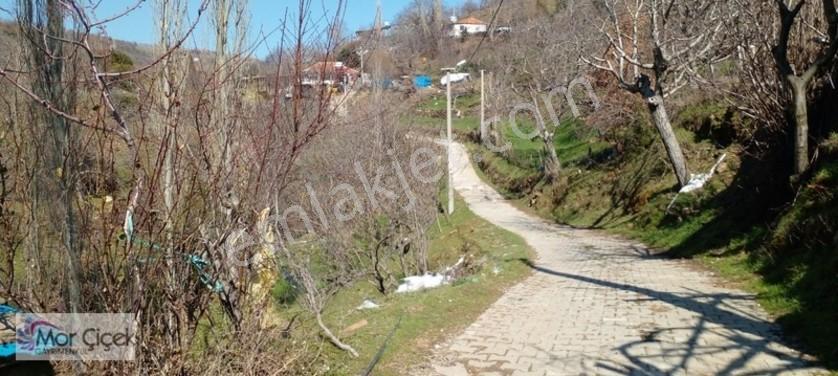 Mor Çiçek Emlak Tire Yamandere Satılık Kargir Ev Ve 2adet Dam — fotoğraf 9