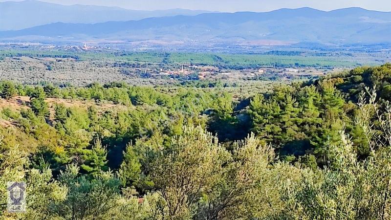 Lir Den Çanakkale Bayramiç Zerdalilik Te 4300 M2 Zeytinlik — fotoğraf 5
