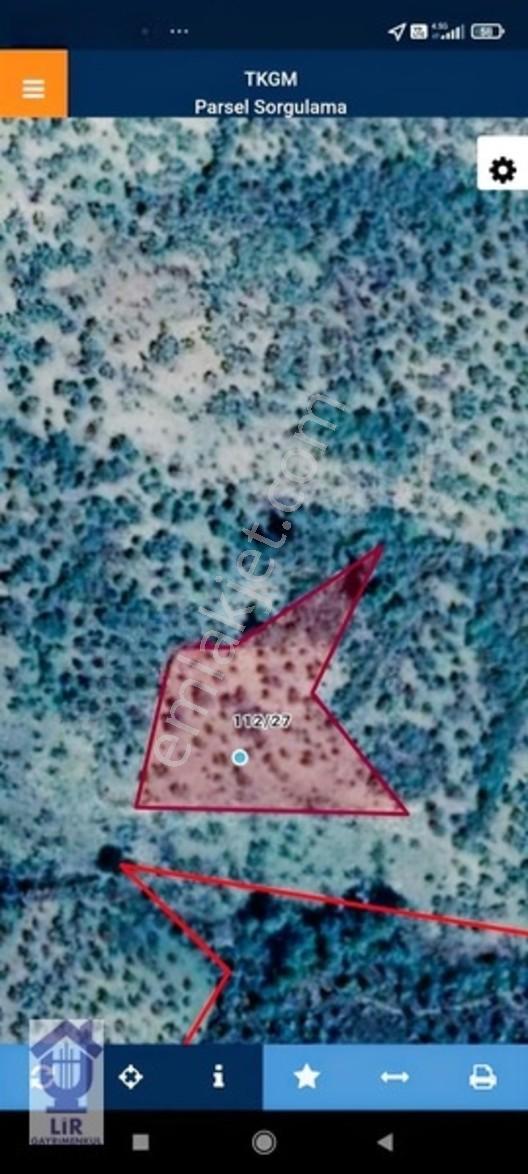 Lir Den Çanakkale Bayramiç Zerdalilik Te 4300 M2 Zeytinlik — fotoğraf 14