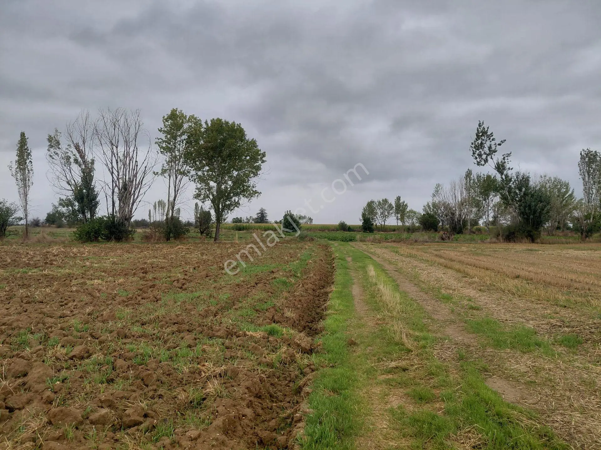Bizizm Emlaktan Akşehir Yazla'da Satılık 2135 M² Doğa Manzaralı Tarla — fotoğraf 2